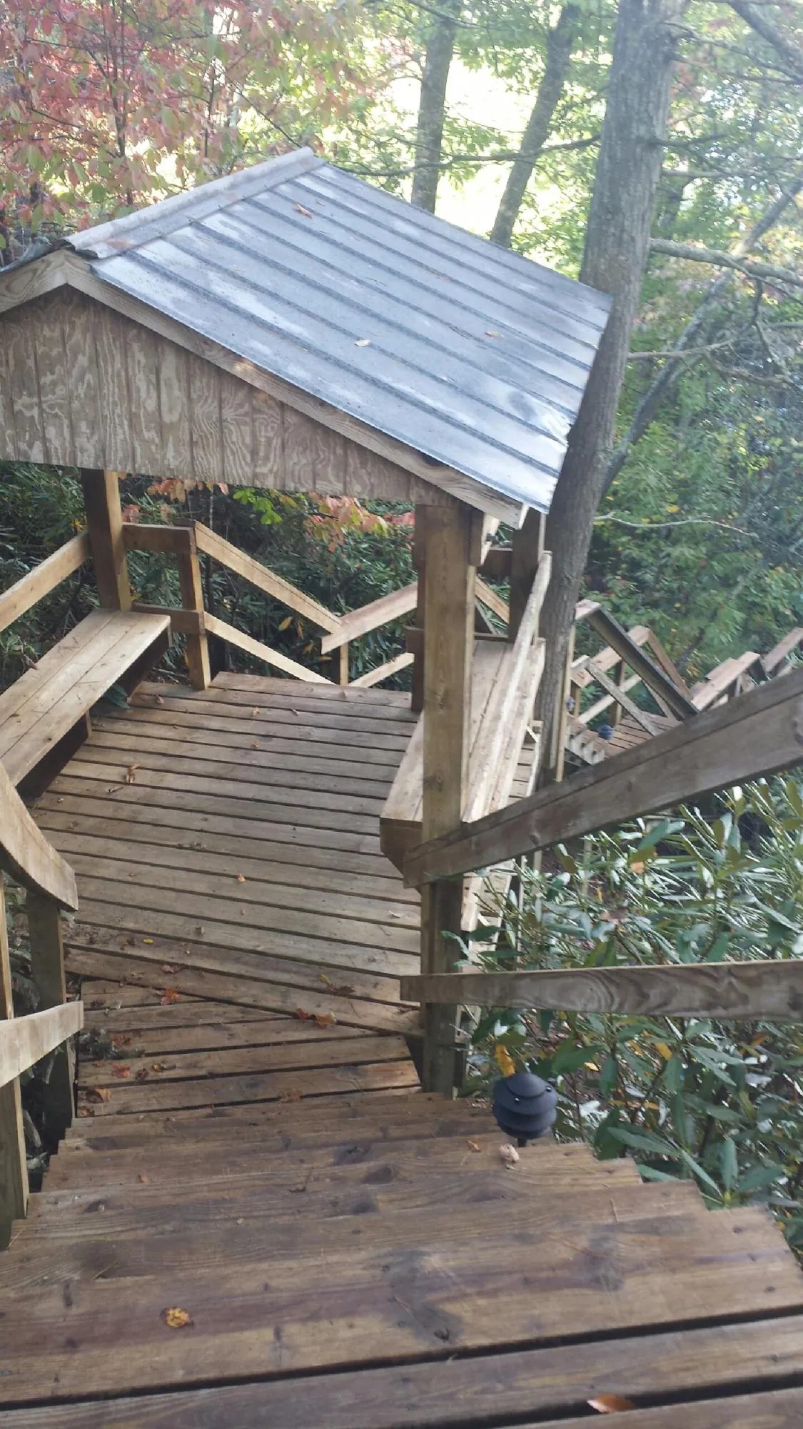 Metal roofed shelter over wooden steps on a wooded walkway — Skylight Repair & Installation work by our crew in Hobgood